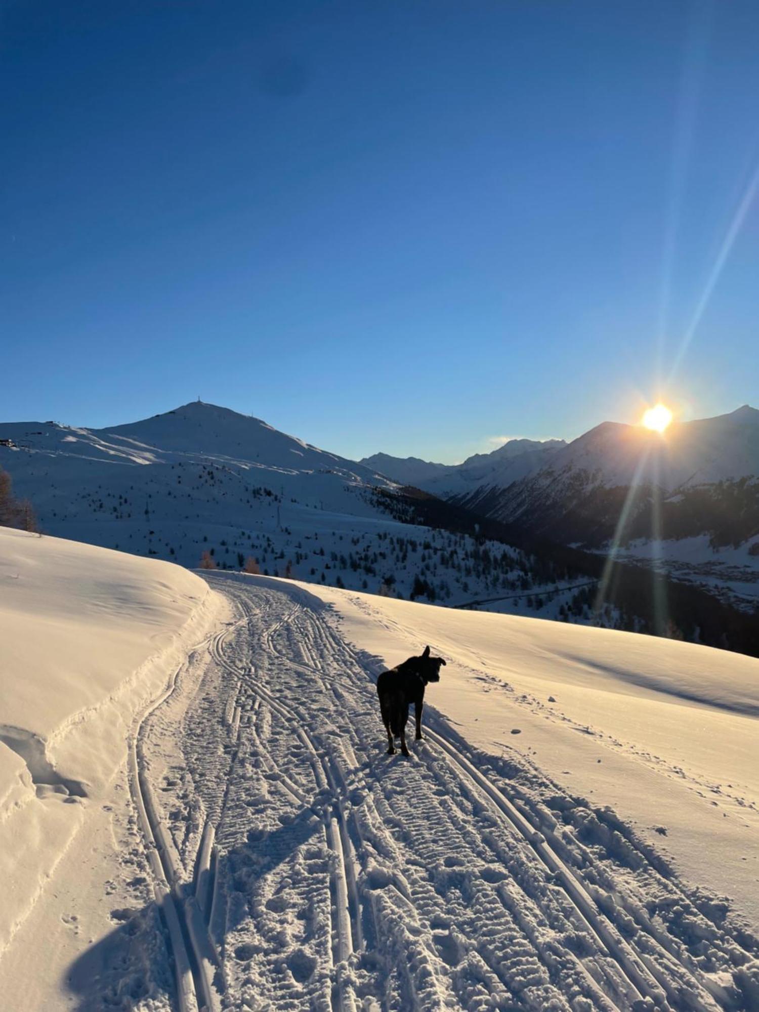 Residence S Lucia - Appartamenti Alle Porte Di Bormio Valdisotto Kültér fotó